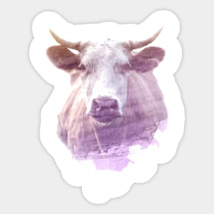 Cow Superimposed Watercolor Sticker